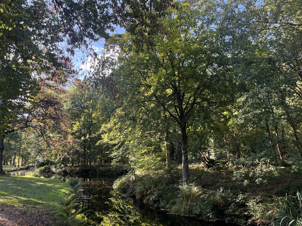 Patrick van der Gulik - Leiderschapscoaching