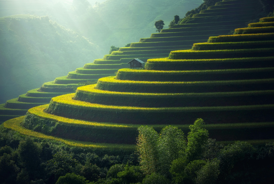 Patrick van der Gulik - Leiderschapstrainingen